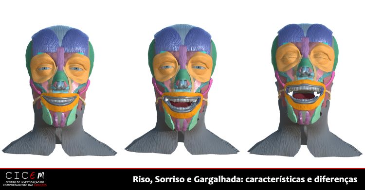 Representação anatômica do sorriso, do riso e da gargalhada